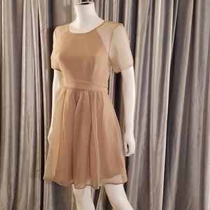 BCBGENERATION Light Blush Sheer Pleated Dress